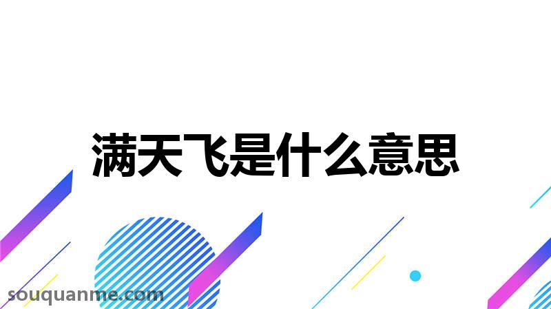 满天飞是什么意思 满天飞的拼音 满天飞的成语解释